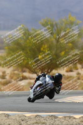 media/Apr-10-2022-SoCal Trackdays (Sun) [[f104b12566]]/Turn 5 Tree of Life (1040am)/